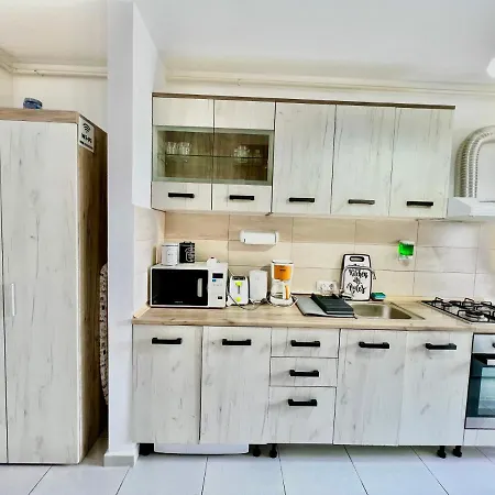 Apartment Studio 20 With Private Parking And Mountain View Brasov